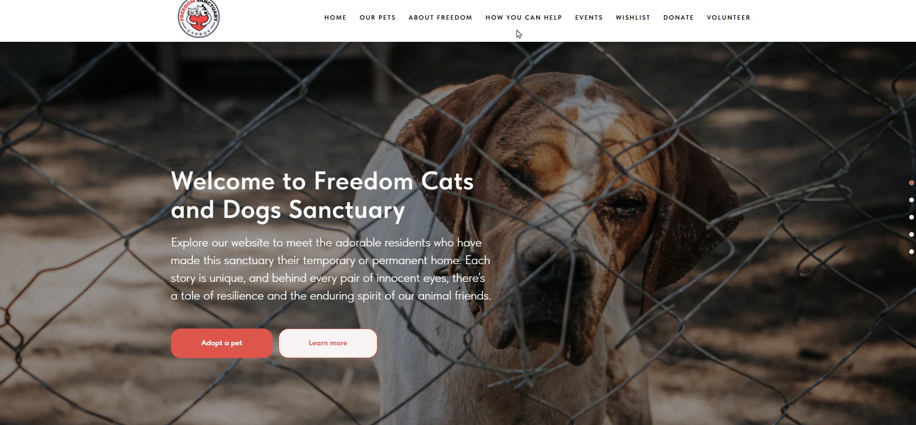 https://domdog.org/